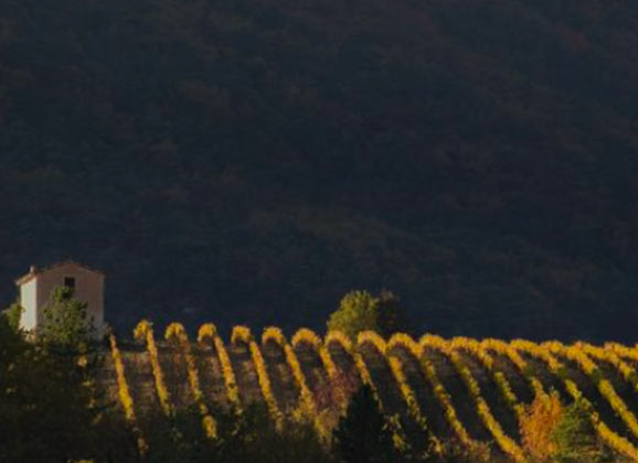 camping la pinede cta vignobles