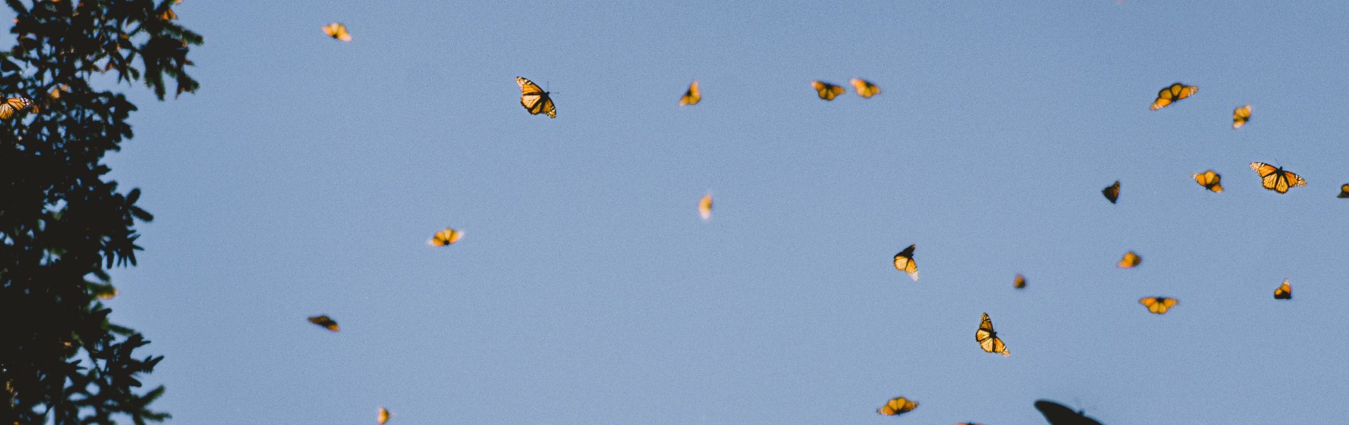 jardin des découvertes