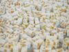 Spécialités gastronomie Drôme nougat