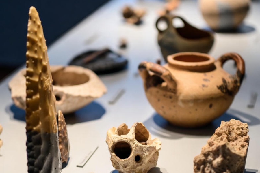 vestiges Musée de la Préhistoire du Vercors