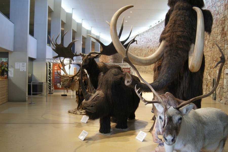 visiter Musée de la Préhistoire du Vercors