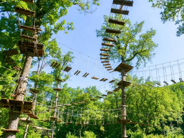 Forêt de Robin Accrobranche Drôme