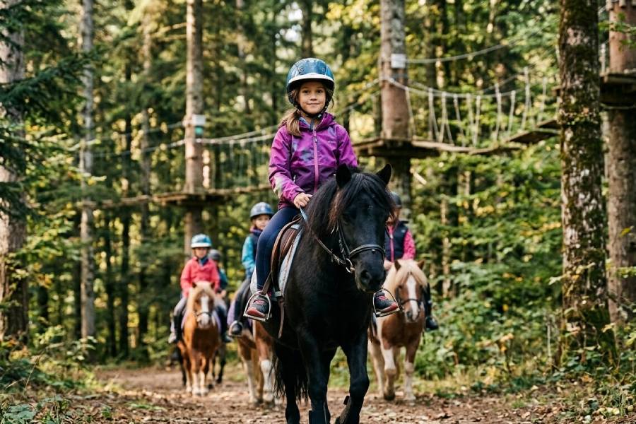 Acro Pôle Aventure