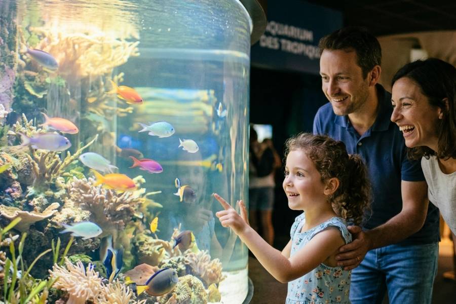 L'Aquarium des Tropiques