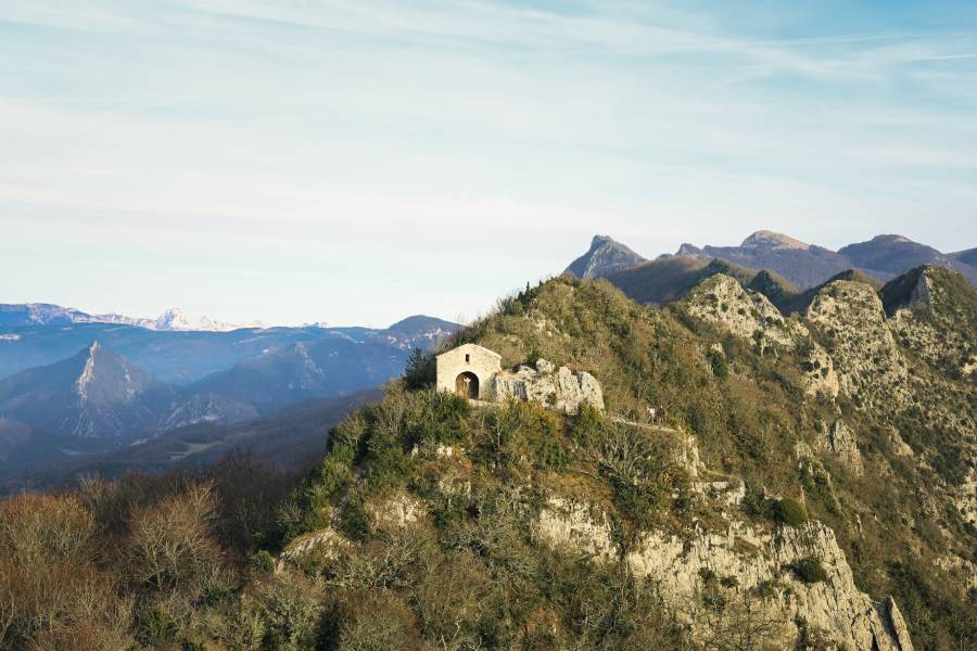 La forêt de Saoû